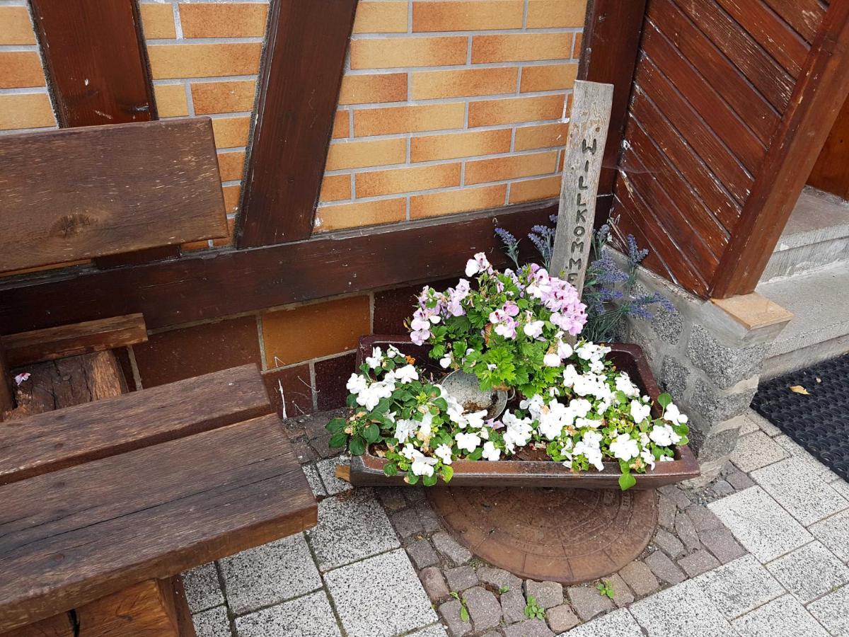 Ferienwohnung Am Kurpark Hasselfelde Buitenkant foto